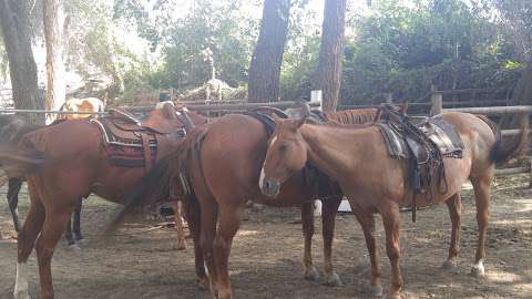 Indian Grove Riding Stables